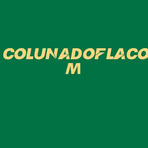 Logo da COLUNADOFLACOM